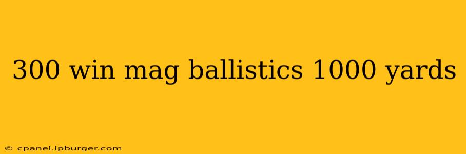 300 win mag ballistics 1000 yards