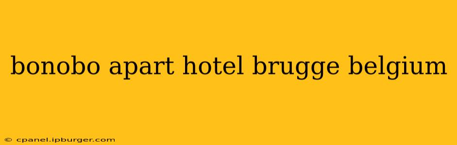 bonobo apart hotel brugge belgium
