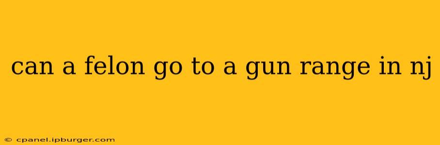 can a felon go to a gun range in nj