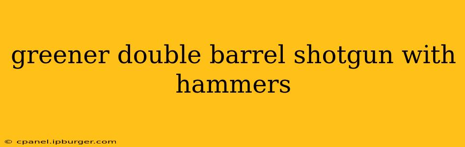 greener double barrel shotgun with hammers