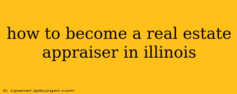 how to become a real estate appraiser in illinois