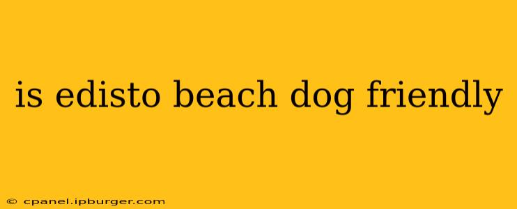 is edisto beach dog friendly