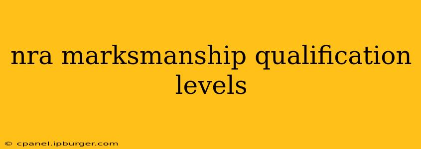 nra marksmanship qualification levels