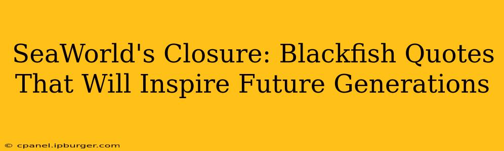SeaWorld's Closure: Blackfish Quotes That Will Inspire Future Generations