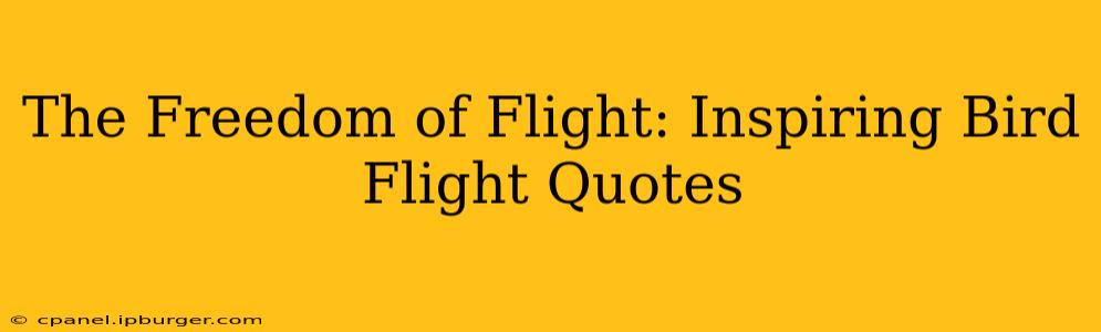 The Freedom of Flight: Inspiring Bird Flight Quotes