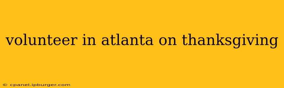 volunteer in atlanta on thanksgiving